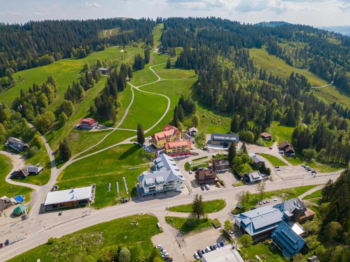 Auerhuhn Feldberg (Baden-Wurttemberg) Exterior foto